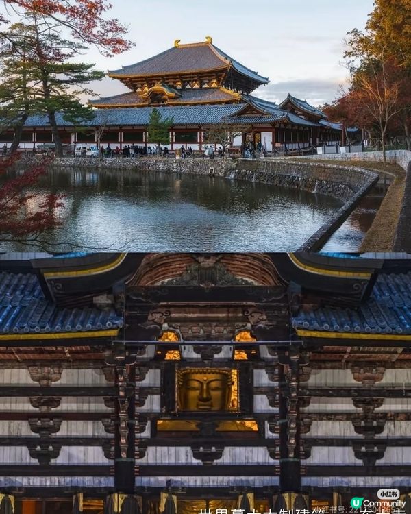 2026年元旦春節 日本冬日限定之旅！