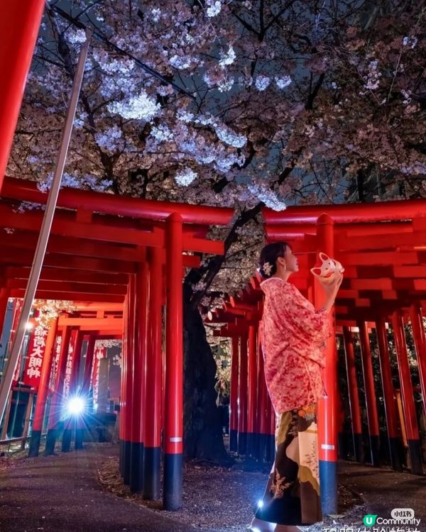 2026年元旦春節 日本冬日限定之旅！