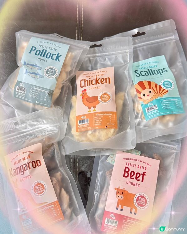 毛孩福利到 零食套裝開箱😻😻😻