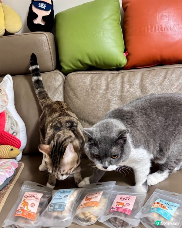 毛孩福利到 零食套裝開箱😻😻😻