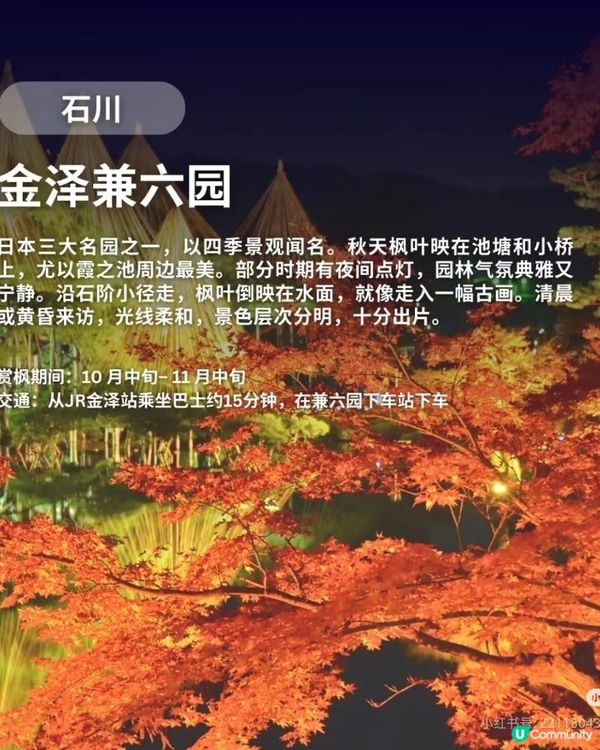 【日本秋日楓葉打卡🍁】旅行購物一站搞定