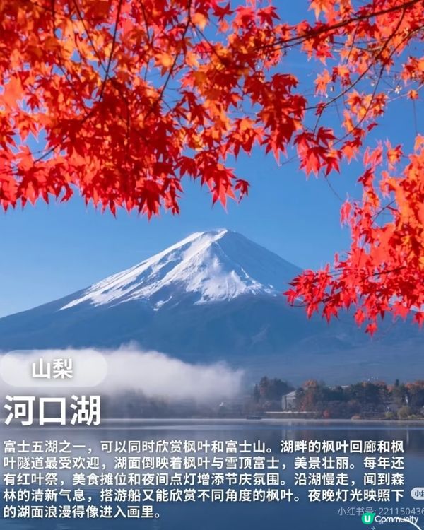 【日本秋日楓葉打卡🍁】旅行購物一站搞定