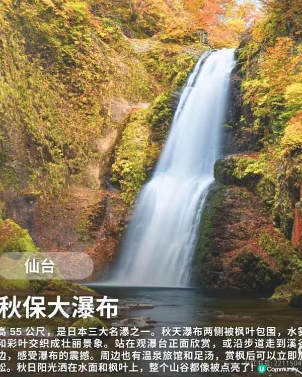 【日本秋日楓葉打卡🍁】旅行購物一站搞定