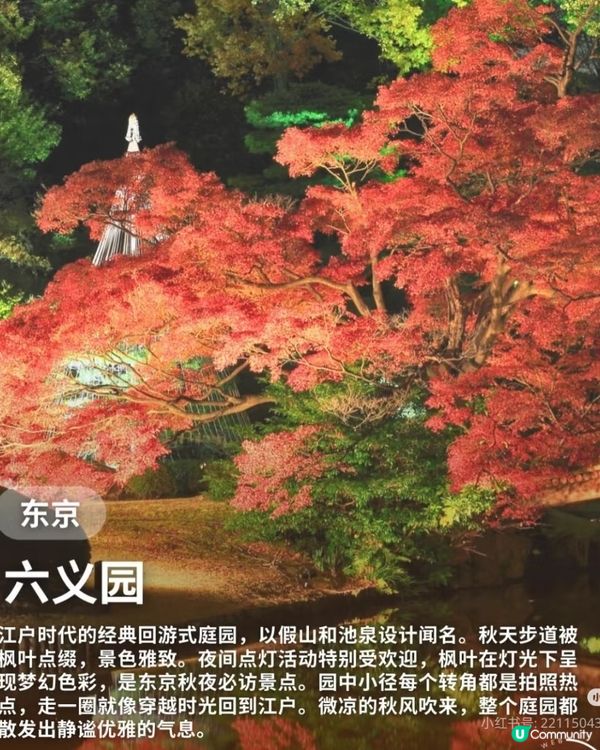 【日本秋日楓葉打卡🍁】旅行購物一站搞定