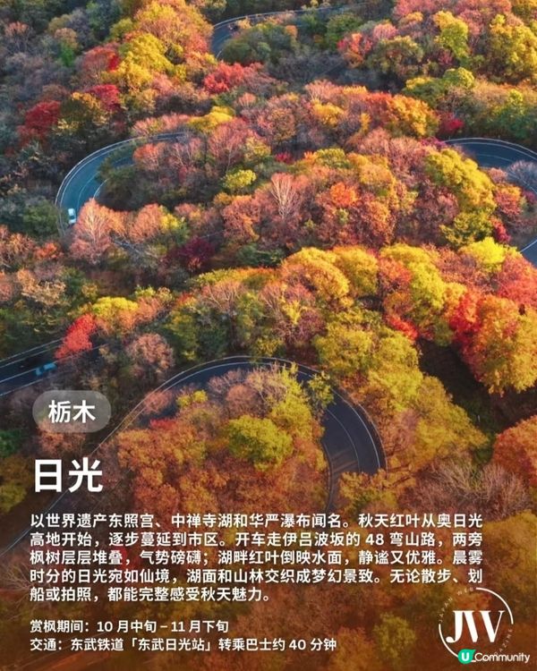 【日本秋日楓葉打卡🍁】旅行購物一站搞定