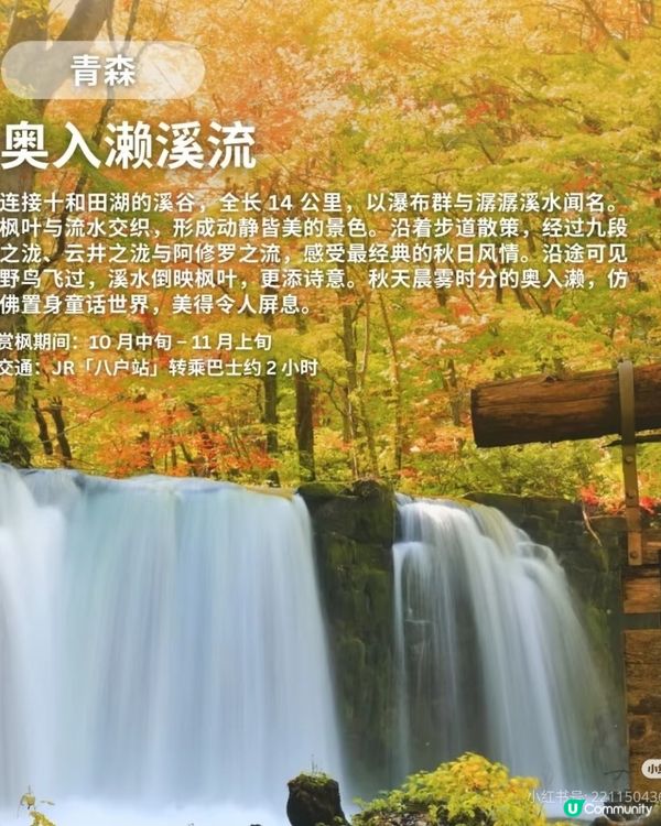 【日本秋日楓葉打卡🍁】旅行購物一站搞定