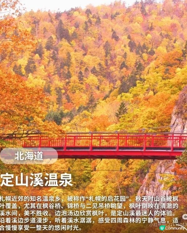 【日本秋日楓葉打卡🍁】旅行購物一站搞定