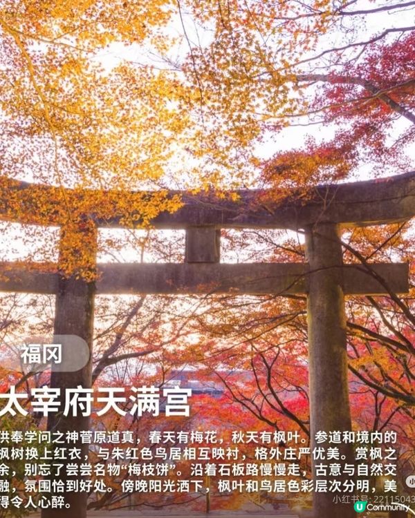 【日本秋日楓葉打卡🍁】旅行購物一站搞定