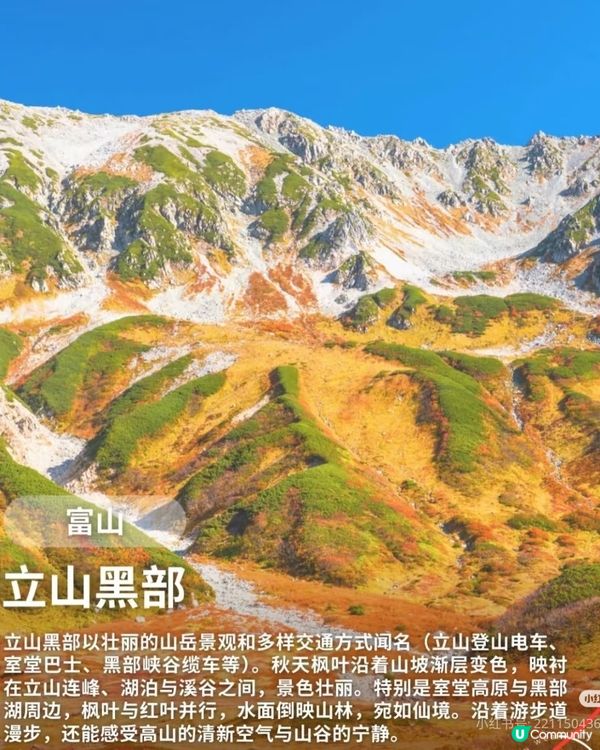 【日本秋日楓葉打卡🍁】旅行購物一站搞定