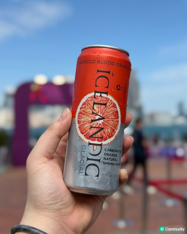 Wine & Dine Festival 2025