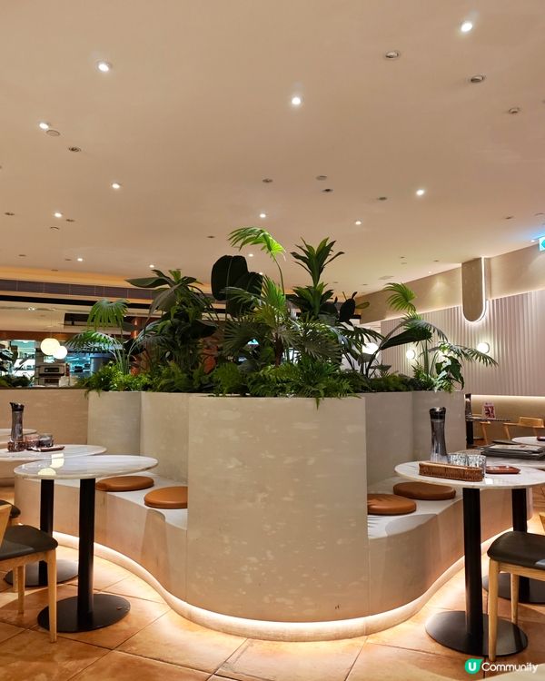 屯門美食推介！😋 抵食西餐等你嚟！🍽️