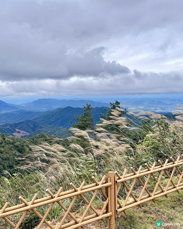 韶關紅葉世界🍁之打卡天空之城🤩
