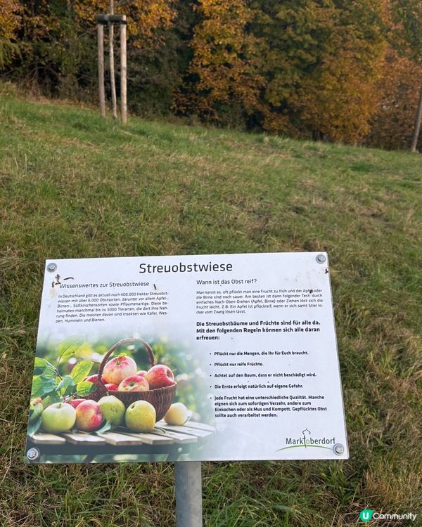 《從Isny到Füssen:在阿爾卑斯山腳下的緩旅》 🚙