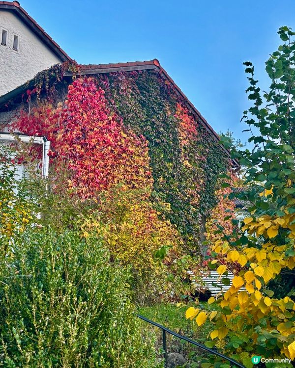 《從Isny到Füssen:在阿爾卑斯山腳下的緩旅》 🚙