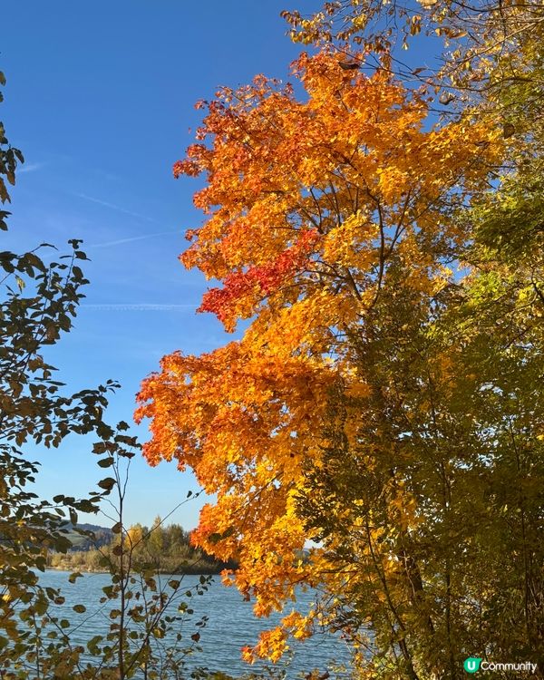 《從Isny到Füssen:在阿爾卑斯山腳下的緩旅》 🚙