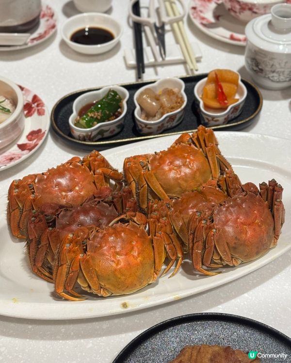 大閘蟹季開鑼🦀！鍾廚一人餐抵食😋！