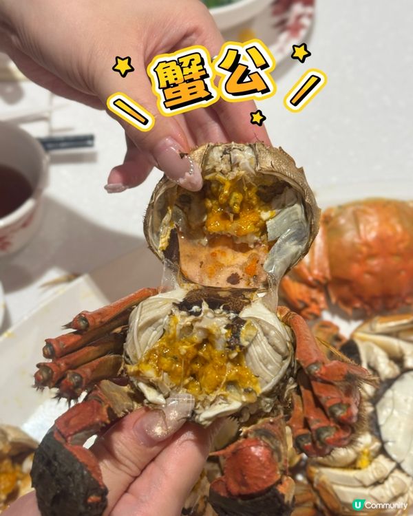 大閘蟹季開鑼🦀！鍾廚一人餐抵食😋！