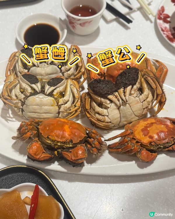 大閘蟹季開鑼🦀！鍾廚一人餐抵食😋！