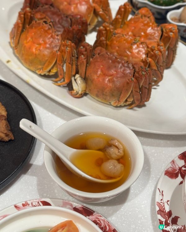 大閘蟹季開鑼🦀！鍾廚一人餐抵食😋！