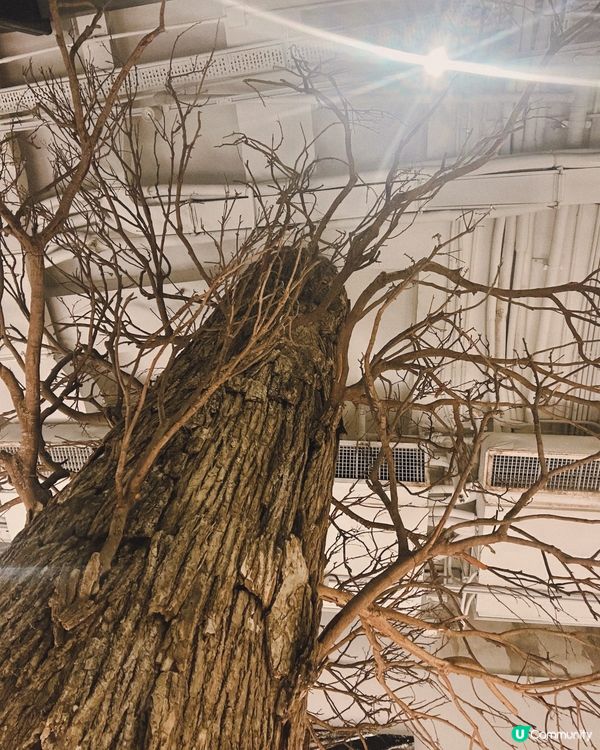 咖啡控必試！隱世小店☕️🤤