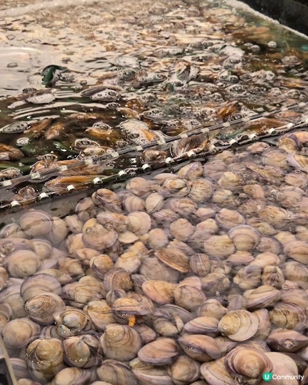千海水產海鮮火鍋放題 - 來吧三粒鐘放縱