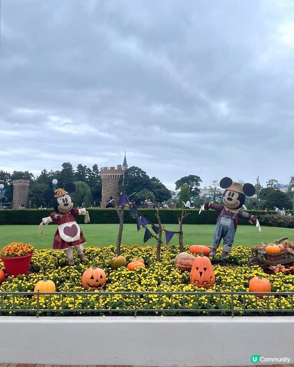 🇯🇵2025東京迪士尼萬聖節🧡