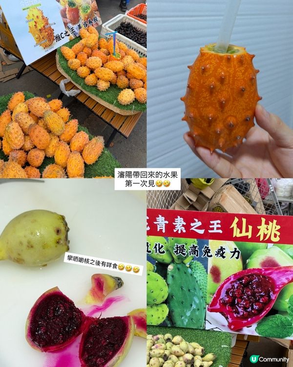 第一次見仙桃、火蔘果！😋 東北地方見到試吓先！