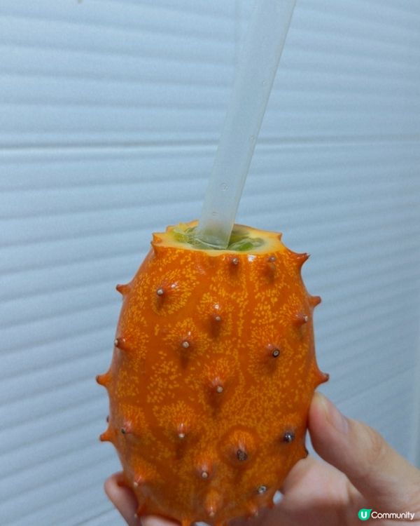 第一次見仙桃、火蔘果！😋 東北地方見到試吓先！