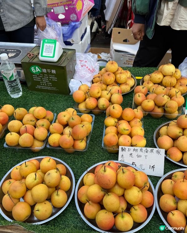 第一次見仙桃、火蔘果！😋 東北地方見到試吓先！