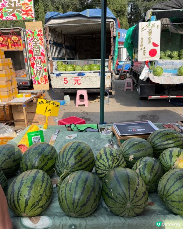 第一次見仙桃、火蔘果！😋 東北地方見到試吓先！