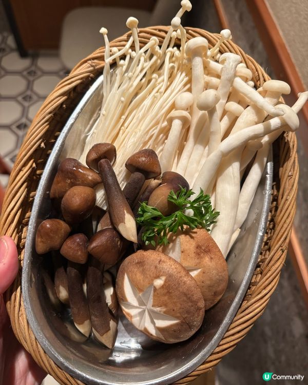 順德公豬肚包翅🐔性價比超高💰香濃好味🤤請客必點👍🏻