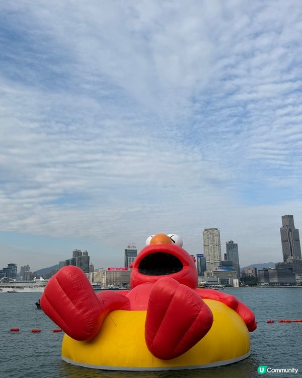 維港海上大巡遊