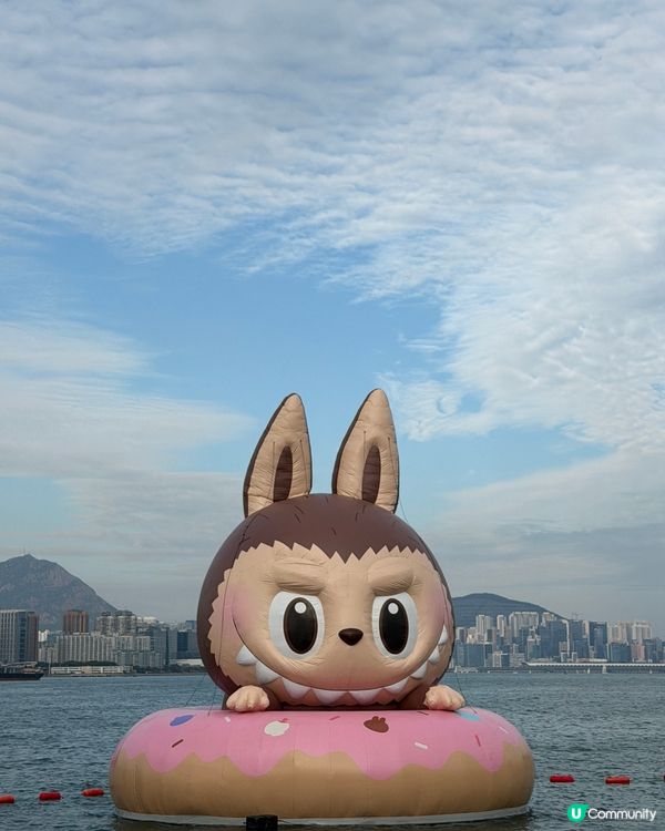 維港海上大巡遊