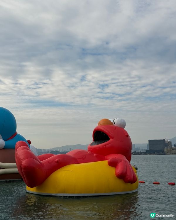 維港海上大巡遊