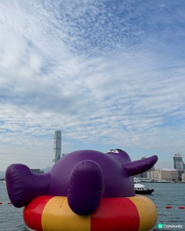 維港海上大巡遊