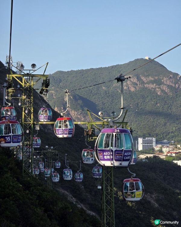 海洋公園「哈囉喂 • 全園祭2025」喪玩六大鬼屋 ( 附慳錢玩法及最新水都光影片 )