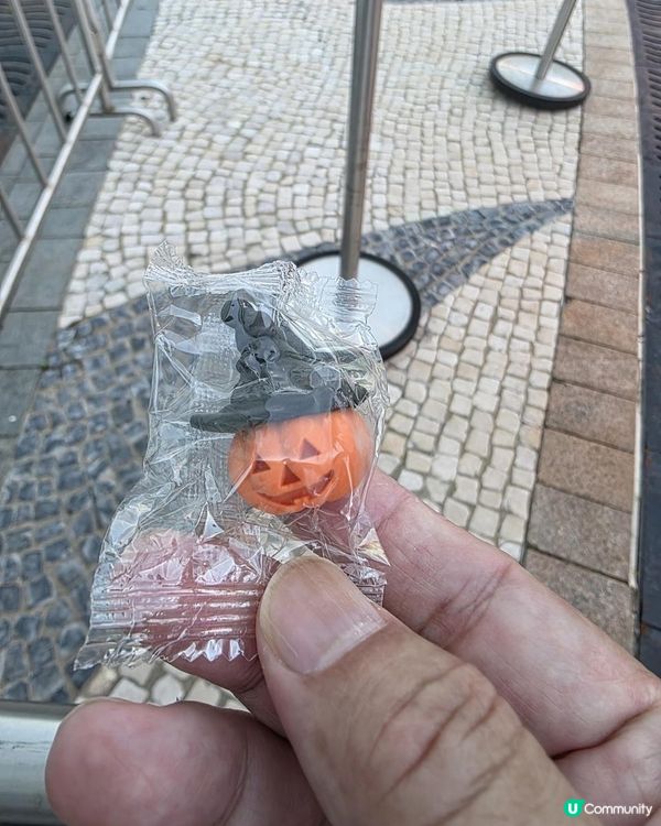 海洋公園「哈囉喂 • 全園祭2025」喪玩六大鬼屋 ( 附慳錢玩法及最新水都光影片 )