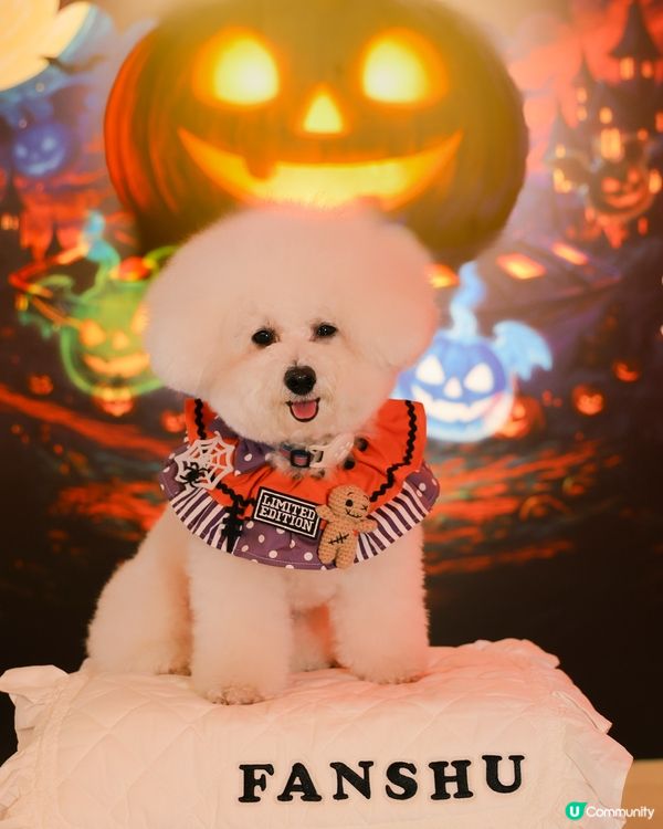 🎃萬聖節大餐！餓虎藏龍👻 寵物友善餐廳！😋