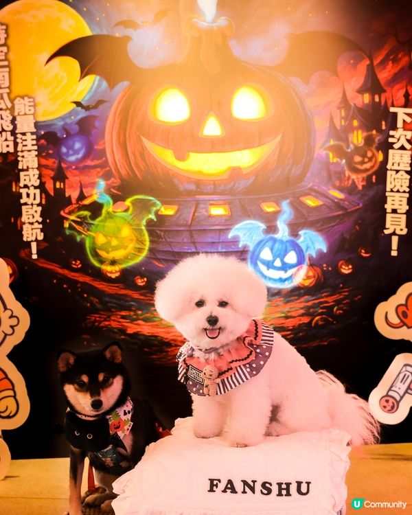 🎃萬聖節大餐！餓虎藏龍👻 寵物友善餐廳！😋