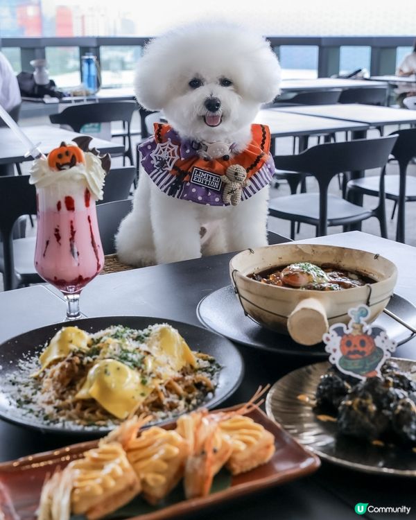 🎃萬聖節大餐！餓虎藏龍👻 寵物友善餐廳！😋