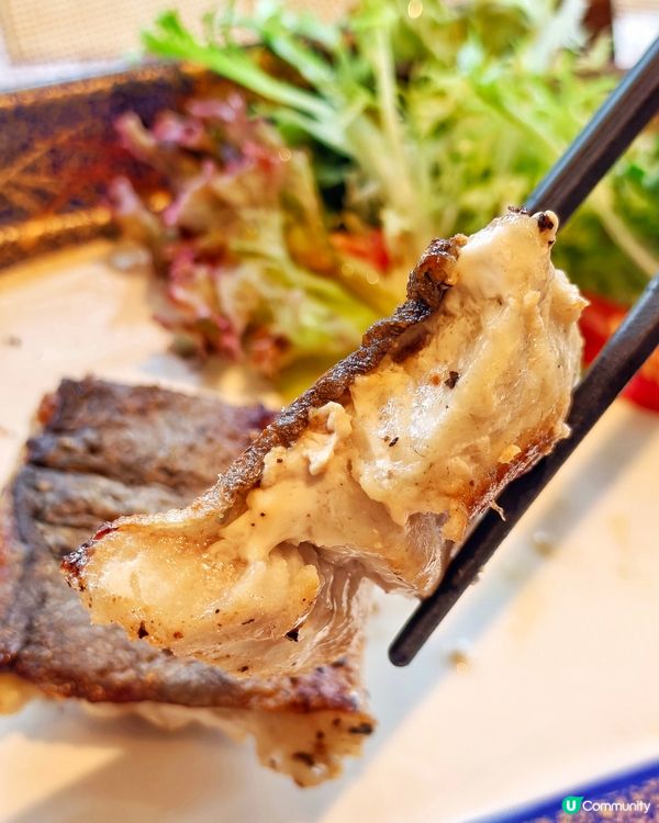 高CP🥰七品🥢午餐