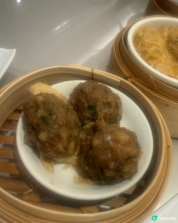 飲茶吹水