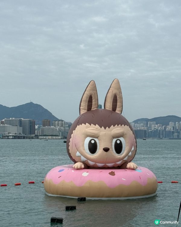 維港海上巡遊勁好玩！多啦A夢超可愛😍📸