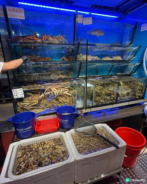 尖咀海鮮鍋🔥抵食到爆！海鮮控衝呀！🦀🦞