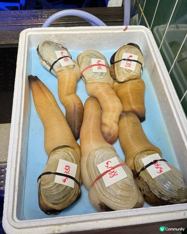 尖咀海鮮鍋🔥抵食到爆！海鮮控衝呀！🦀🦞