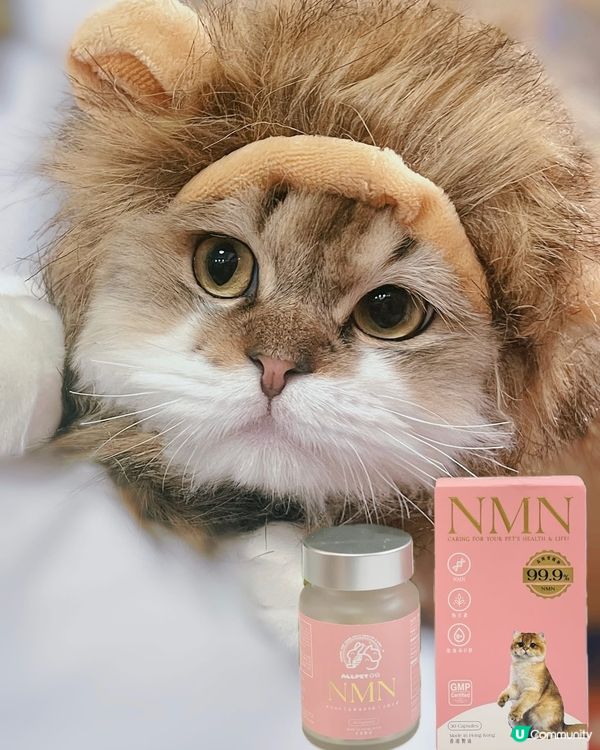 毛孩都要抗衰老💕