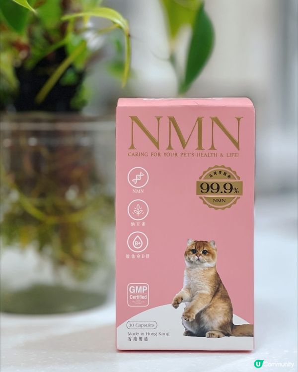 毛孩都要抗衰老💕