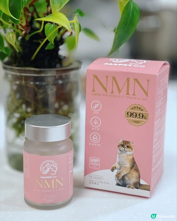 毛孩都要抗衰老💕