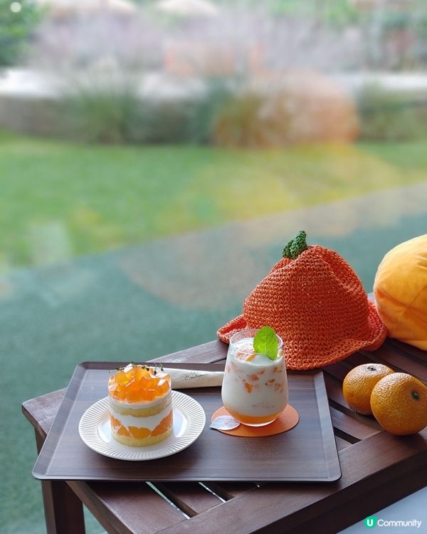濟州打卡又好玩柑橘主題cafe