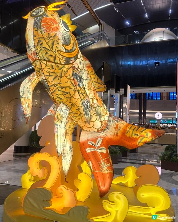 鋰躍龍門